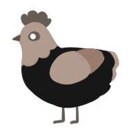 Dragos, a black and brown chicken with a head pattern