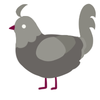 Pidgeon, a grey and ash chicken with a head pattern