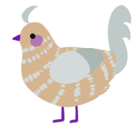 (unnamed), a beige and silver chicken with a bar pattern