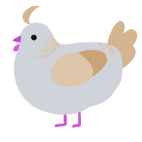 Crunchy Peanut, a mist and beige chicken with a neck-band pattern