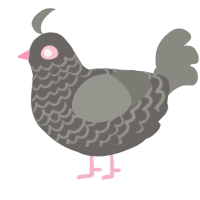 A grey and ash chicken with a lace pattern