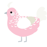 A rose and white chicken with a half-lace pattern