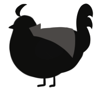 Memory, a black chicken