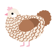 hot chocolate, a cream and brown chicken with a lace pattern