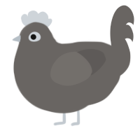 Stone, a grey chicken