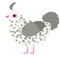 A white and ash chicken with a speckle pattern