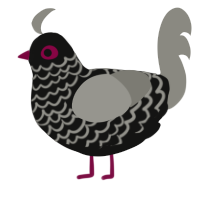 A black and ash chicken with a lace pattern