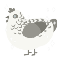 Crystal, a white and ash chicken with a half-lace pattern
