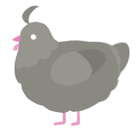 (unnamed), a ash chicken with a head pattern