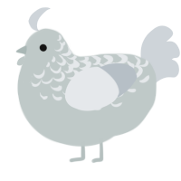 stone, a silver and mist chicken with a half-lace pattern