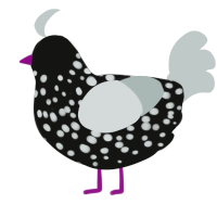 A black and silver chicken with a speckle pattern