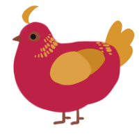 Taki, a crimson and orange chicken with a neck-band pattern