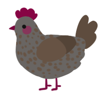 Rotten Apple, a grey and bark chicken with a speckle pattern
