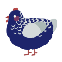 Geiger, a navy and silver chicken with a half-lace pattern
