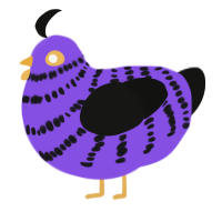 Riley, a blurple and black chicken with a bar pattern