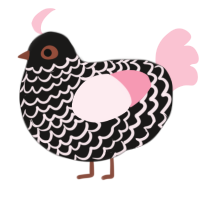 (unnamed), a sable and rose chicken with a lace pattern