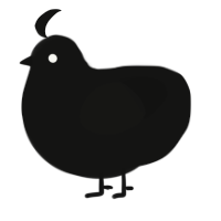 A black chicken