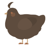 Choccy Milk, a bark chicken