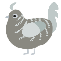 Pebble, a ash and silver chicken with a half-bar pattern