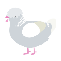 (unnamed), a mist and white chicken with a neck-band pattern