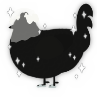 A black chicken with a lace pattern