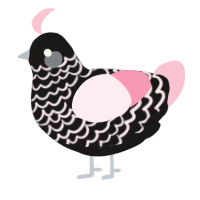 A sable and rose chicken with a lace pattern