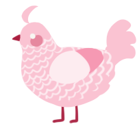 Pink Milk, a rose chicken with a lace pattern