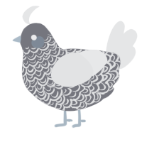 A ash and sable chicken with a double-lace pattern