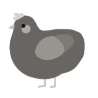 Cement, a grey and ash chicken