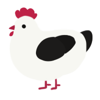Chicken, a white and sable chicken