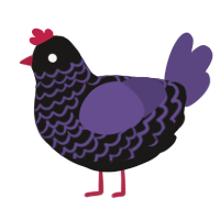 (unnamed), a sable and overcast chicken with a lace pattern