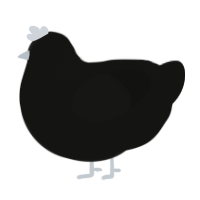 A black chicken with a neck-band pattern
