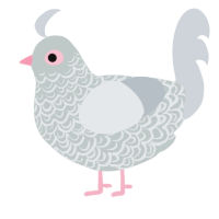 Lil Pidge, a silver and mist chicken with a double-lace pattern