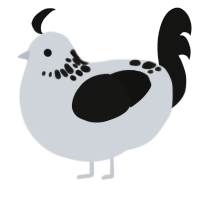 White Russian, a mist and black chicken with a neck-speckle pattern