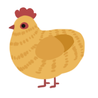 Orange Chicken, a honey and orange chicken with a bar pattern