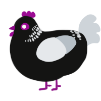 (unnamed), a black and mist chicken with a neck-band pattern
