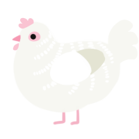 Pigeon, a white chicken with a half-bar pattern