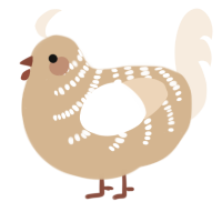 Hop, a beige and cream chicken with a half-bar pattern