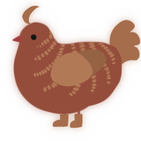 Confession, a russet and brown chicken with a half-bar pattern