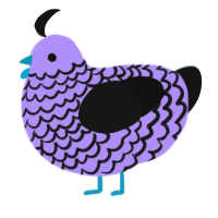 Trurple, a lilac and black chicken with a lace pattern