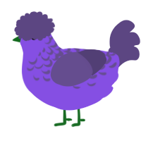 A blurple and overcast chicken with a half-lace pattern