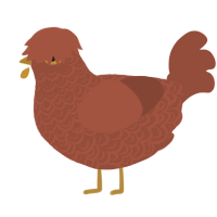 Mirabel, a russet chicken with a double-lace pattern