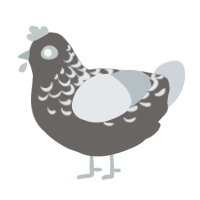 (unnamed), a grey and mist chicken with a half-lace pattern