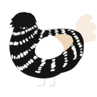 Null n Void ig, a black and cream chicken with a bar pattern