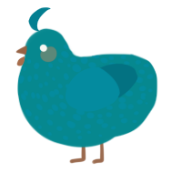 (unnamed), a teal and sea chicken with a speckle pattern