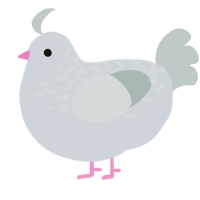 Misty, a mist and silver chicken with a half-lace pattern