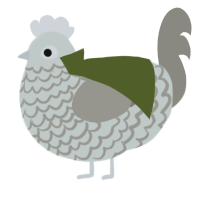 Sir Gawain, a silver and ash chicken with a lace pattern