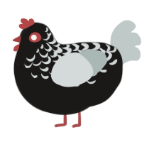A sable and silver chicken with a half-lace pattern