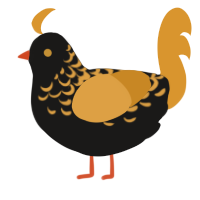 A sable and orange chicken with a half-lace pattern