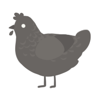 clay, a grey chicken with a half-lace pattern